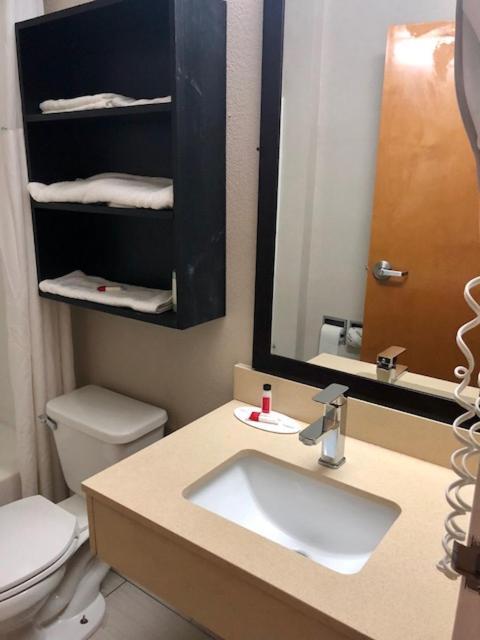 Microtel Inn By Wyndham - Murfreesboro Esterno foto